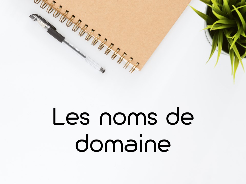 Pourquoi avoir un nom de domaine pour l'entreprise
